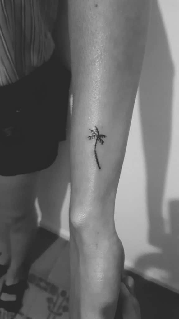 tatuaje palmera minimalista