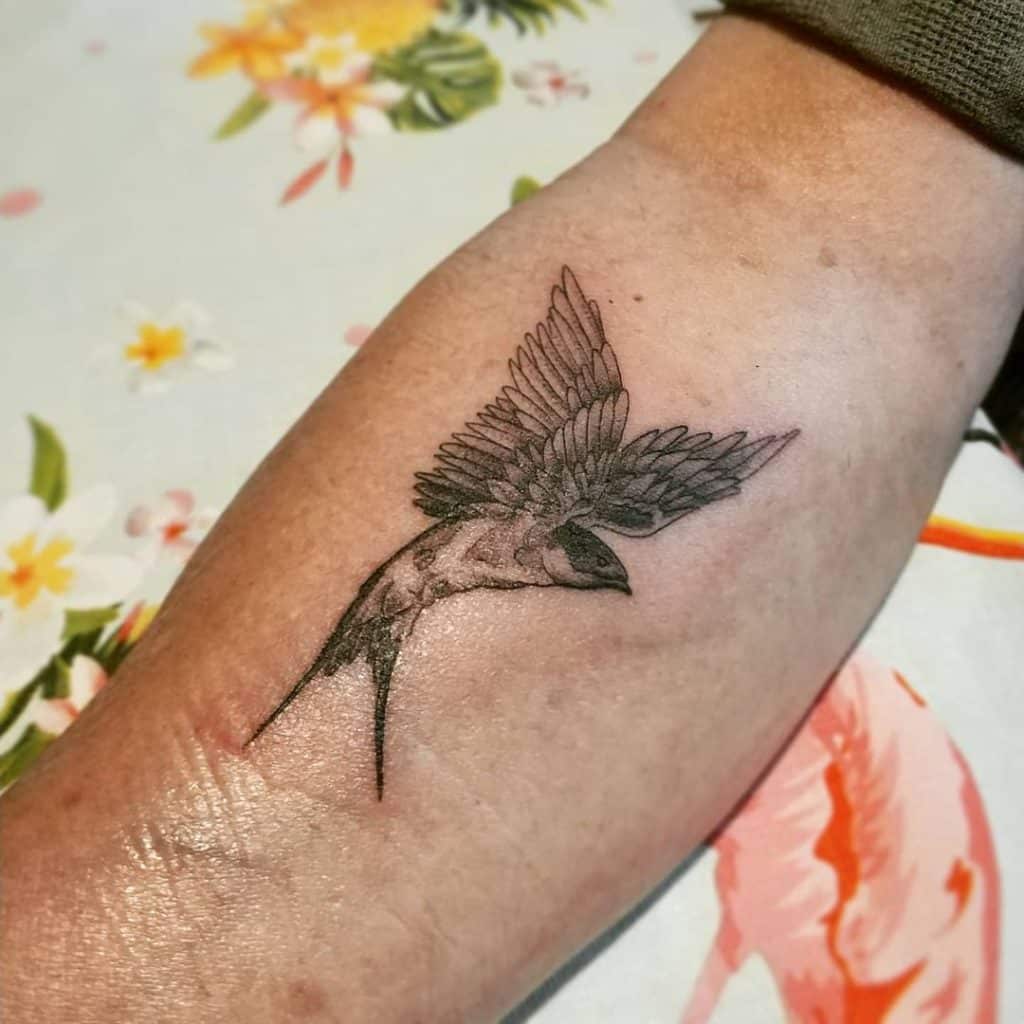 tatuajes pajaros golondrina