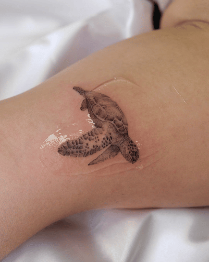 tatuajes tortugas 